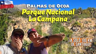 Palmas de Ocoa 🌴 El Parque Nacional La Campana como nunca antes lo viste