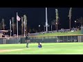 Umpire helps out Finn The Bat Dog