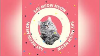Say Meow Meow by Celine Wanyi Feat. Cloud Wang