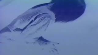 【Plastic Tree】 Sick PV