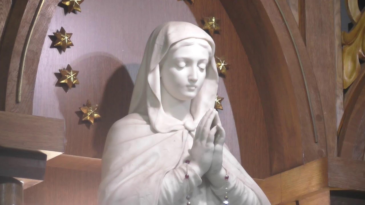 Харківсько-Запорізька дієцезія РКЦ – transmisja na żywo