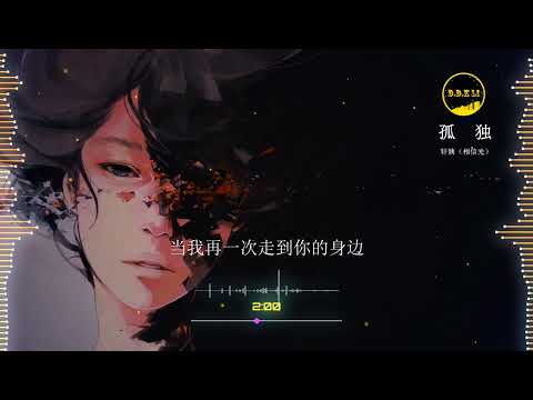 2023華語網絡流行音樂 ||《孤獨》|| 軒姨（相信光）|| 動態歌詞