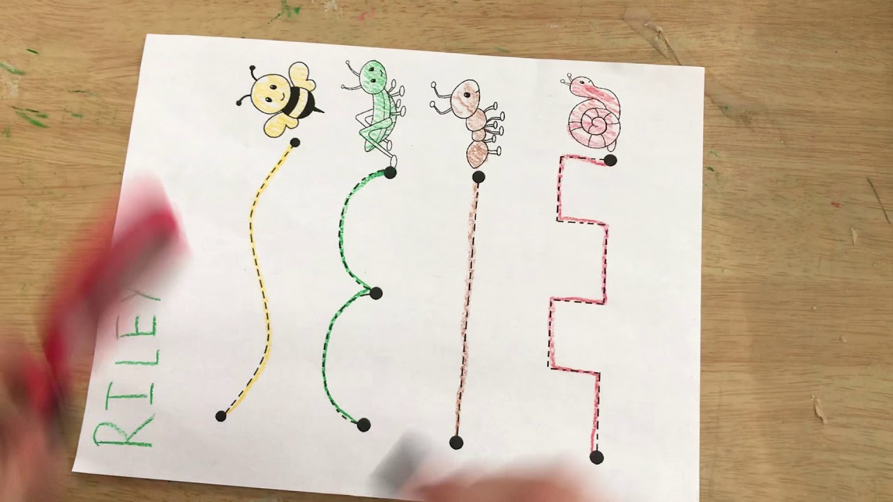 Insect Coloring and Cutting