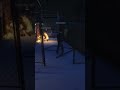 Guard | GTA V Online