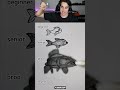Beginner vs pro how to draw a fish
