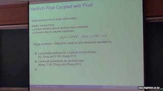 Well-posedness and longtime behavior of a hydrodynamic system modeling vesicle and interaction