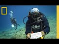 Marine Conservation Efforts at Disney Local Key