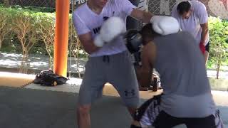 Tim Tszyu sparring @ Tiger Muay Thai