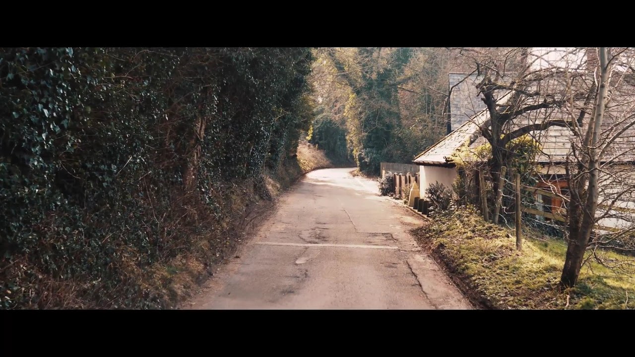 One day 1 minute nature cinematic video|ujjalpaul