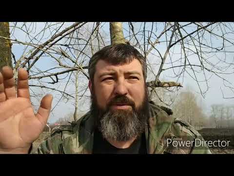 Воспитание щенка РЕЛ. Лайка и домашняя птица.