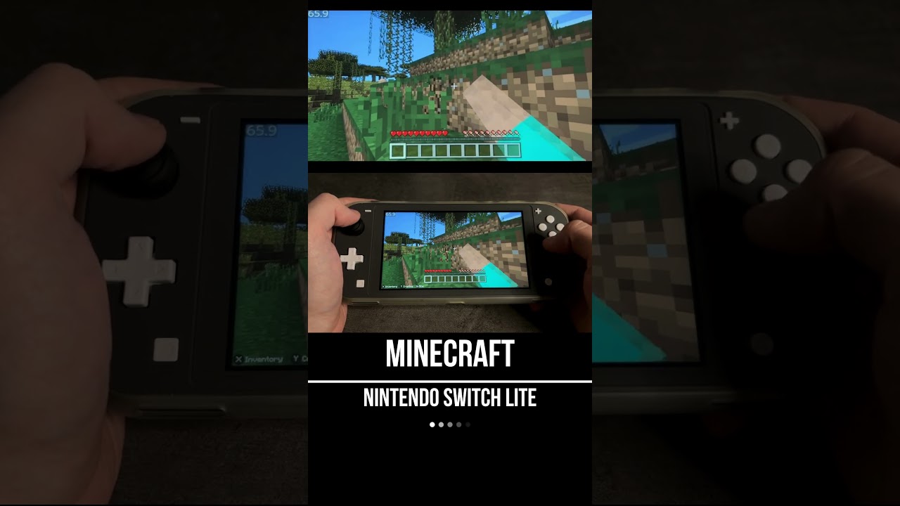 Minecraft Nintendo Switch Lite Gameplay - FPS Monitor - YouTube