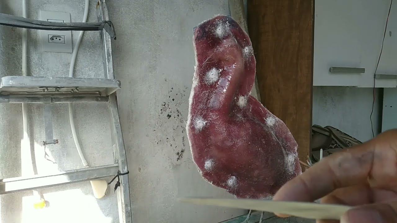 como fazer a forma da garça de fibra com molde de cimento parte 1