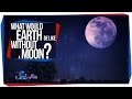 What Would Earth Be Like Without a Moon?