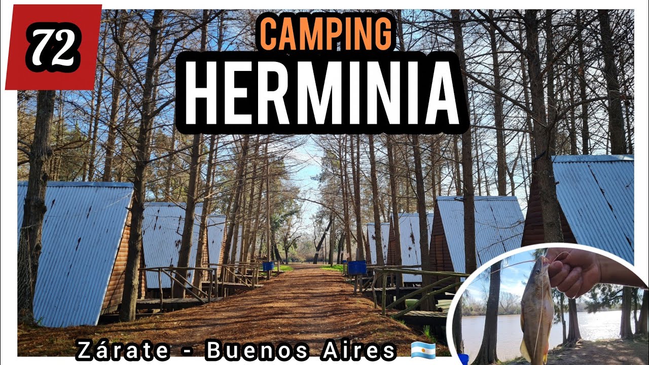 #Camping HERMINIA - Zárate, Buenos Aires 🇦🇷 a 93km de CABA. Dormis, muelle, proveeduría y más!