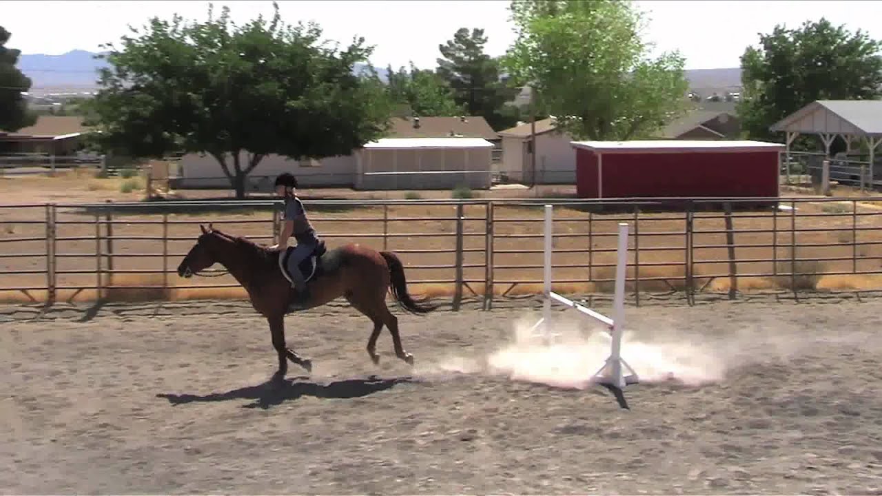 A Schuerr Thing Horse Training Kingman, Arizona Kassie Schuerr