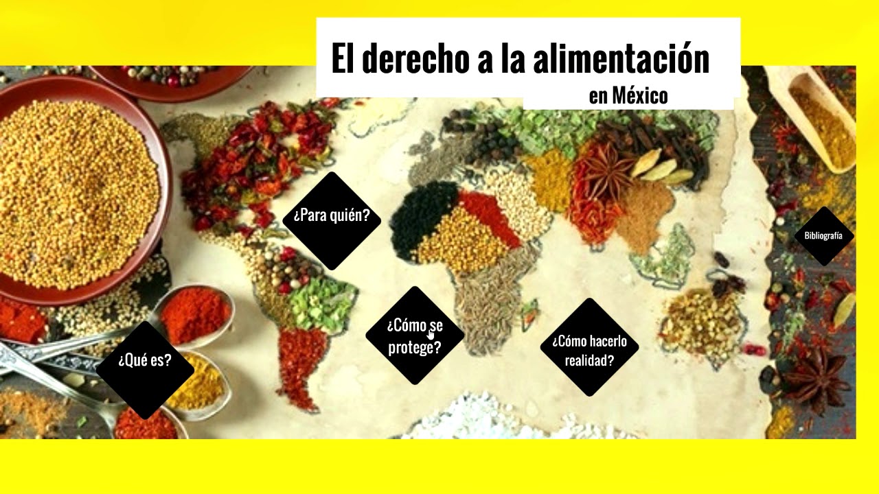 Derecho A Los Alimentos En Mexico