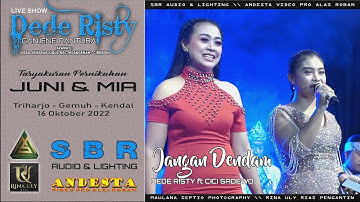 JANGAN DENDAM ~ DEDE RISTY FT CICI SADEWO ~ DEDE RISTY LIVE THE WEDDING JUNI & MIA PART 2