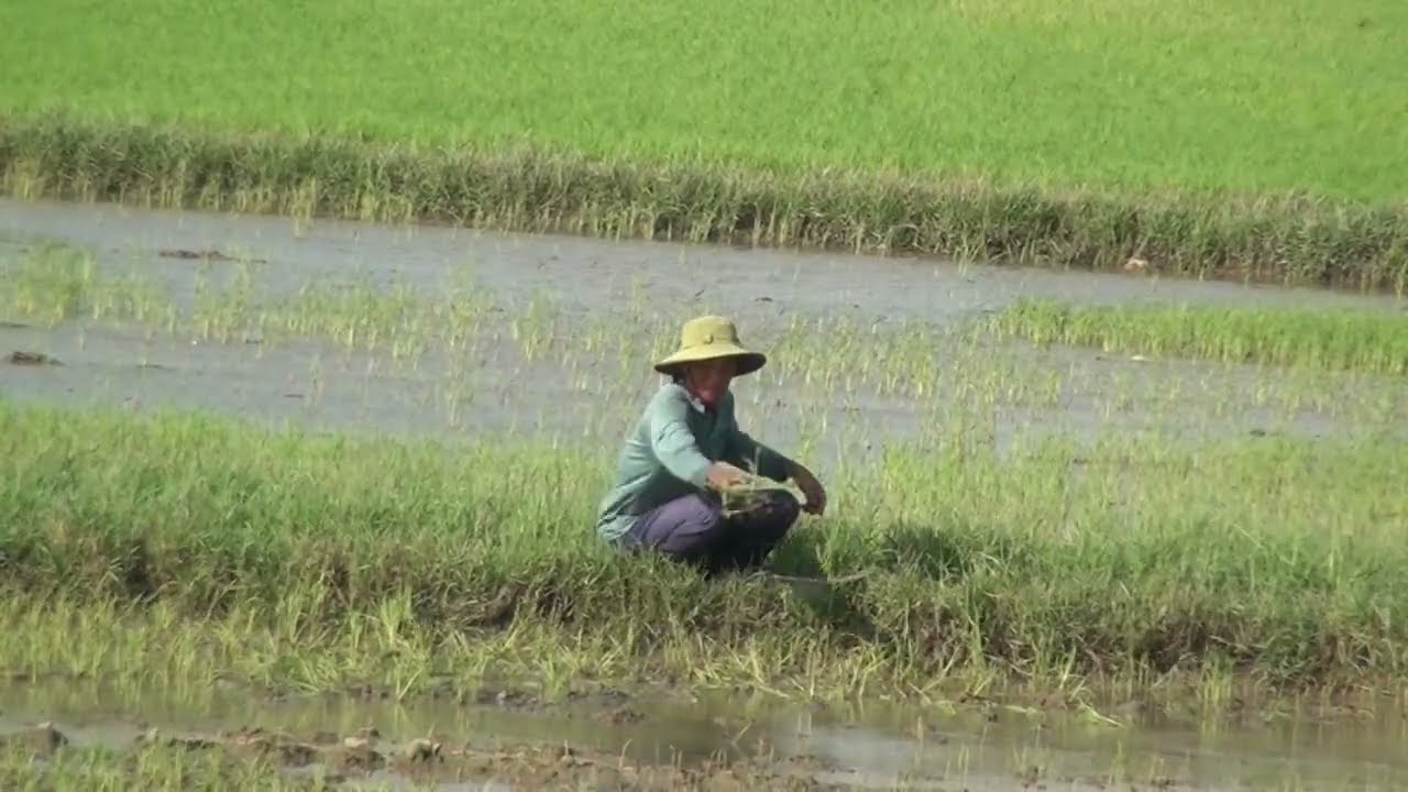 Simple Life, Big Smiles – Vietnam’s Farmers