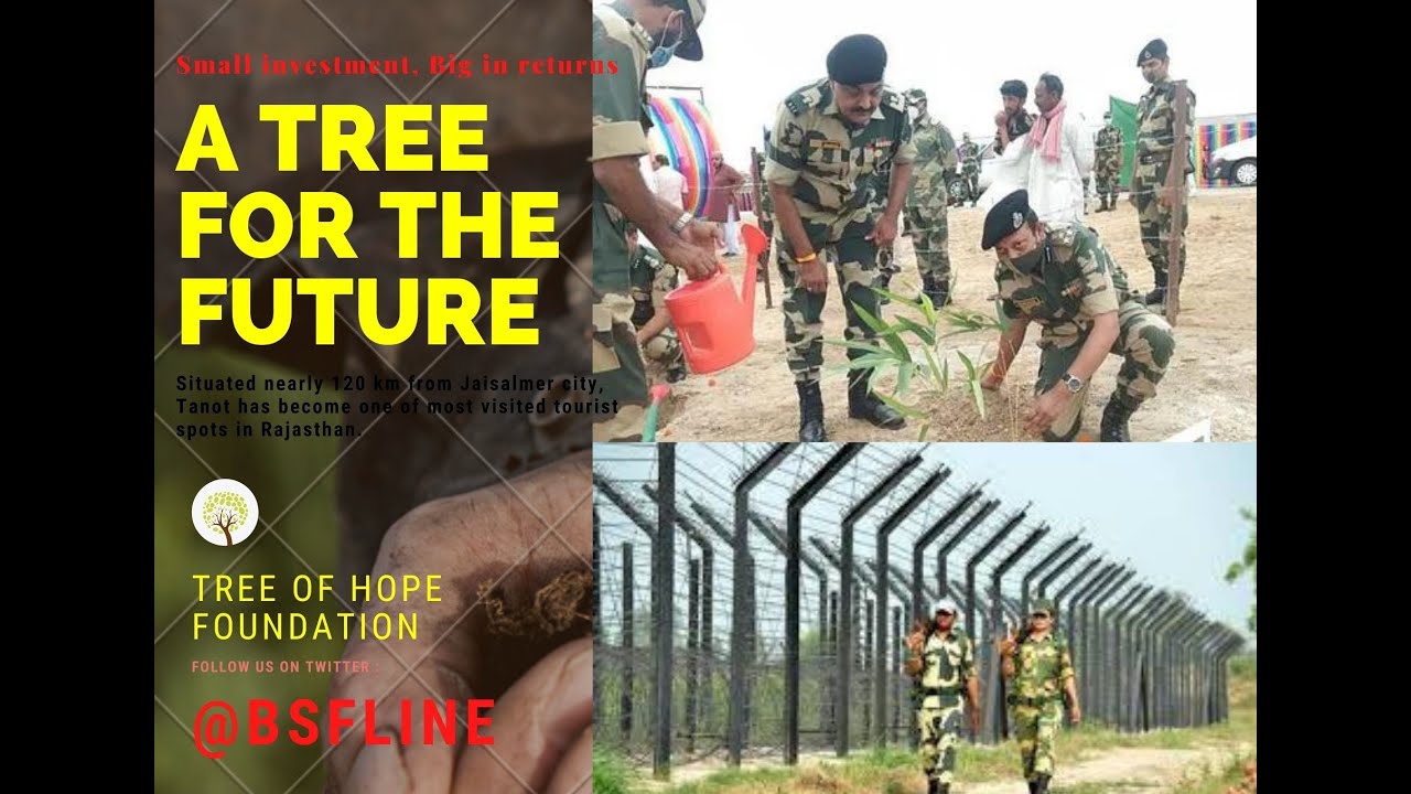 BSF Launch Green Cover Project In Jaisalmer To Prevent Desertification.....