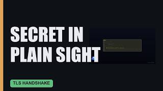 How HTTPS Agrees on a Secret Key While You Watch Every Byte