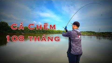 Câu Lure Cá Chẽm Khủng Tại Hồ Câu 9 Năm ở Vũng Tàu Bằng Mồi Lure Best Seller Major Craft