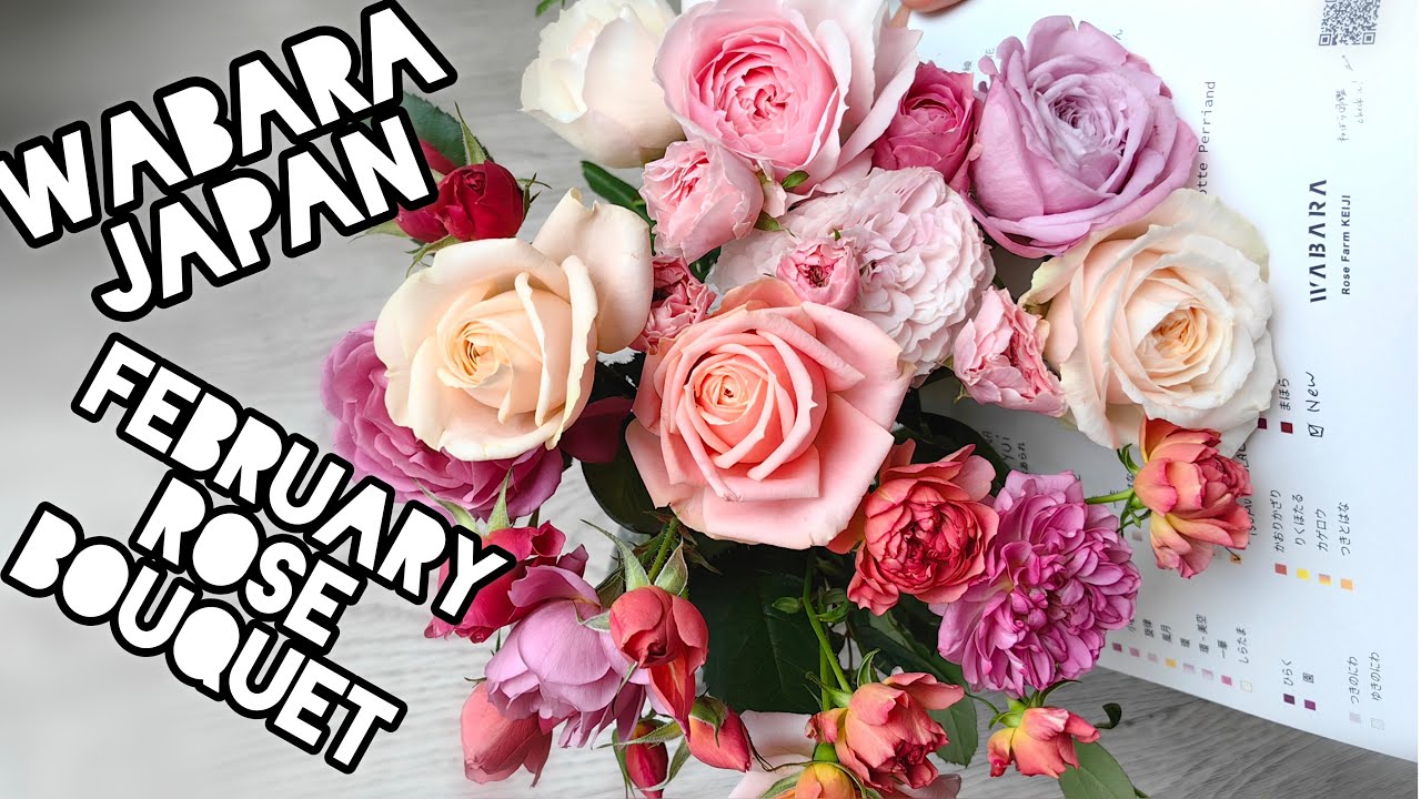 WABARA JAPAN FEBRUARY BOUQUET by ROSE FARM KEIJI Kunieda feat
