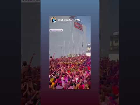 springboard Holi celebration 🍾 ✨️