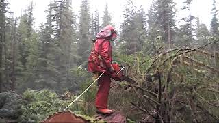 part 2 big cedar with Marcel Levesque . video 2 of 2 videos