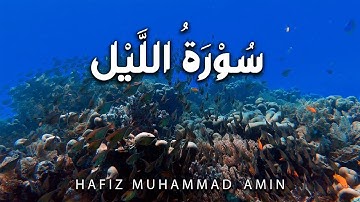 Surat Al-Layl (The Night) |  سورة الليل | Lofi Quran