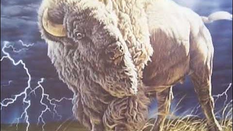 Thumbnail of White Buffalo by Cusco