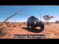 Toyota Landcruiser 4x4 Adventures | Corner Country Australia | Mick Tighe 4x4 & Outdoor