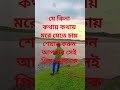 মৃত্যু নয়, আল্লাহর রহমত চান 🤲 Islamic Reminder Shorts #shortsfeed