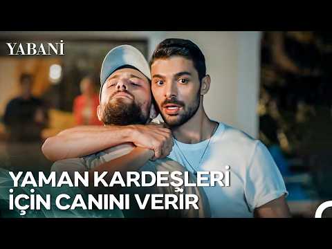 Kardeş Bağı Kanla Olmaz! - Yabani
