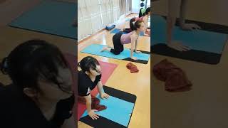 Cat And Cow Best Yoga Poss Flexibilitypanchatattwayogaacademy