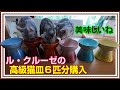 【ル・クルーゼの高級猫皿６匹分購入】誕生日＆出産祝い【ル・クルーゼ ハイスタンド・ペットボウルを購入してみた】