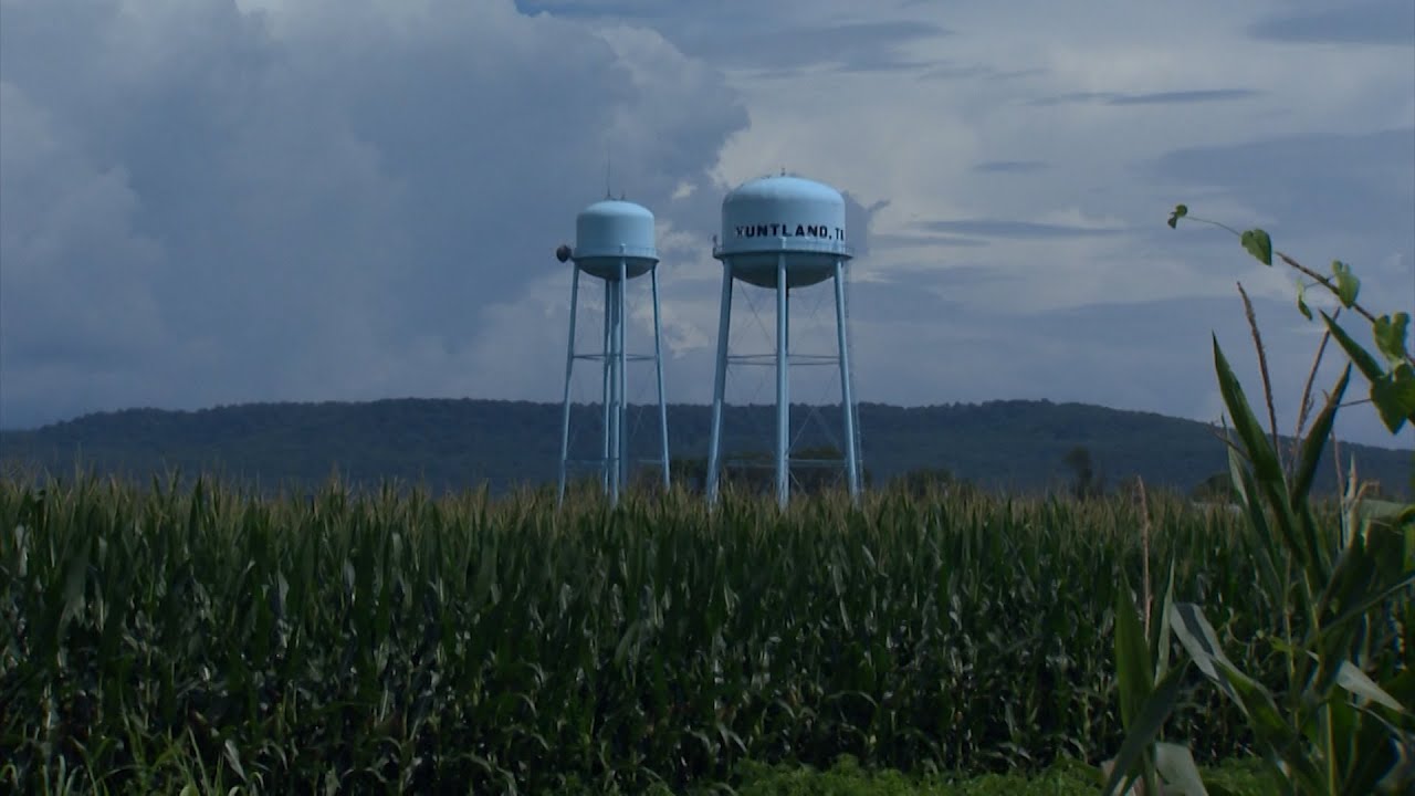 FOREST DATA AND ANALYSIS