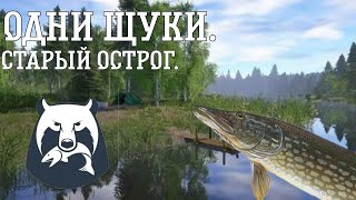 Новая рабочая точка на щуку Неплохой фарм
