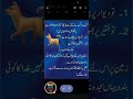 Urdu Islamic Quotes Inspirational,urdu quotes