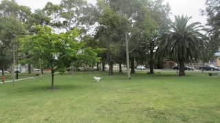 Penders Park Dog Off Leash Area (Thornbury)