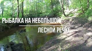 Рыбалка в небольшой лесной речке