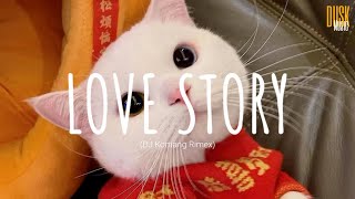 Love story (remix cute) - DJ Komang Rimex (Vietsub + Lyric)