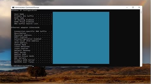 How to Check Your DNS Server Address on Windows 11 [Tutorial]