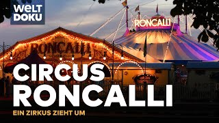 CIRCUS RONCALLI  Ein Zirkus zieht um  Logistische Meisterleistung | WELT Doku