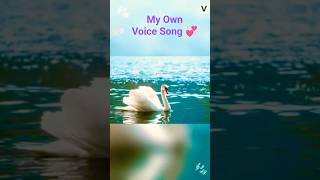🌺Virisinadi Vasantha Ganam🌿 song Bhairava Dweepam movie My Own voice song 🎤 Please Subscribe 🔔👍🙏🏻Tq