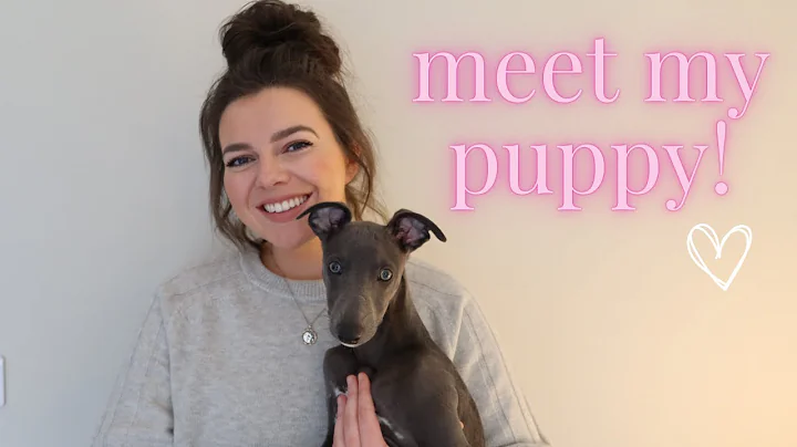 Meet My Puppy + ROUTINE & TIPS