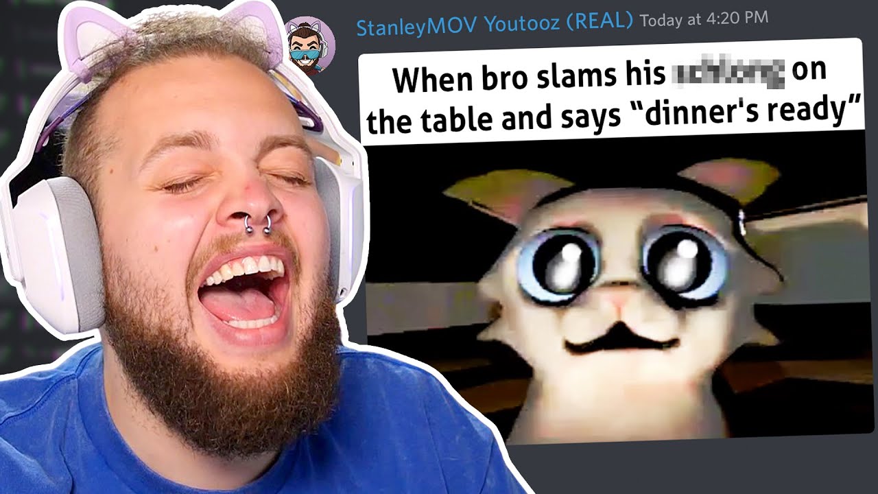 Memes That Make Me Shimmy Shimmy Ya Shimmy Yay Shimmy Yaah