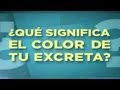 Consulta con Dr Juan: ¿Qué significa el color de tu excreta? - UVideos