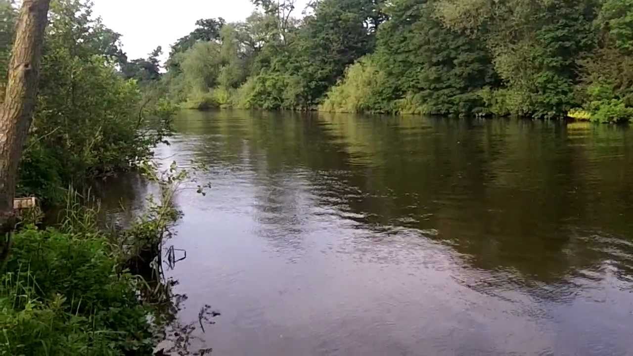 Gone Swimming do the Alternative Great North Swim - YouTube