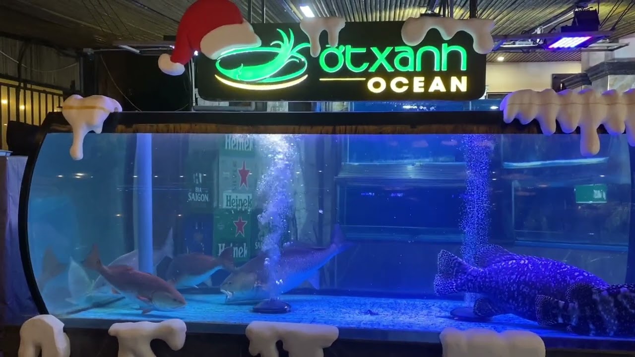 Sau Giờ Tan Việc tại Đà Nẵng có đáng sống 