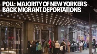Poll: Majority of New Yorkers back migrant deportations